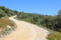 Vue sur le Mont Ventoux depuis la chapelle du Paty