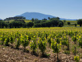 Vue sur le Mont Ventoux
