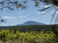 Vue sur le Mont Ventoux