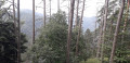 Vue sur le paysage autour des gorges