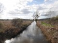 Vue sur le Petit Morin et les marais autour des étangs de la Noquette
