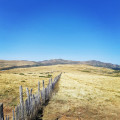 Plateau de la Planèze depuis le Col de Prat de Bouc