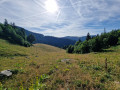 Vue sur le pré