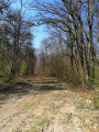 Vue sur le premier chemin après la portion goudronnée