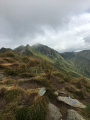 Vue sur le Puy de Sancy