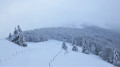 vue sur le Rainkopf caché par la brume depuis Firstmiss