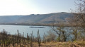 vue sur le Rhône