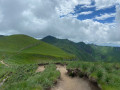 Vue sur le sancy