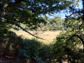Vue sur le Scorff