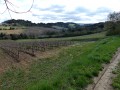 Vue sur le terrain bien vallonné.