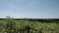 Vue sur le Thar