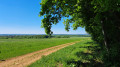 Forêt de l'Avant-Garde à Pompey par la Boucle Triangle Jaune Forêt de l'Avant-Garde à Pompey par la Boucle Triangle Jaune