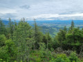 Vue sur le val de Villé depuis le sommet de l'Ungersberg.