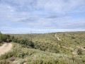 Le Plateau du Grand Arbois, partie Nord