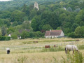 Vue sur le vallon