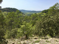 Vue sur le vallon ... Vue sur le vallon ...