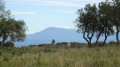 Vue sur le Ventoux