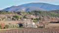Vue sur le Ventoux