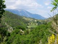 Vue sur le Ventoux