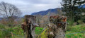 vue sur le versant