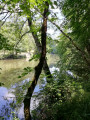 Vue sur le Viaur