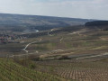 Vue sur le vignoble Vue sur le vignoble