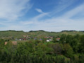 Vue sur le vignoble