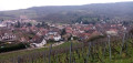 Vue sur le village d'Andlau