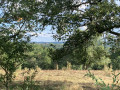 Vue sur le village de Sireuil