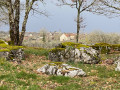 Parcours découverte du petit patrimoine d'Espédaillac et arbres du Causse