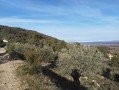 Vallée sous les Sarrasins et retour par la Chapelle Saint-Brice