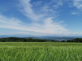 Vue sur les Alpes