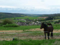 Vue sur les Bordes