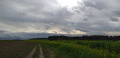 Vue sur les champs de colza