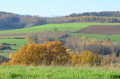 vue sur les champs