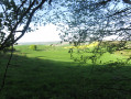 Vue sur les prés Vue sur les prés
