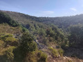 Vue sur les collines