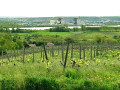 Vue sur les coteaux du Rh&ocirc;ne et au fond la centrale de Saint-Maurice-l'Exil