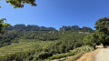 Vue sur les Dentelles de Montmirail