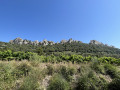 Vue sur les Dentelles