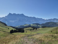 Vue sur les dents du midi et Mont-blanc au fond