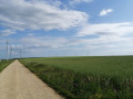 Vue sur les éoliennesde deux parcs