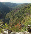 vue sur les gorges du Viaur