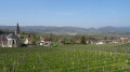 Vue sur les hauteurs de Jongieux