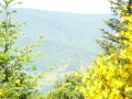 Vue sur les hauteurs dela vallée de la Vocance