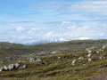 vue sur les massifs au Nord depuis le col