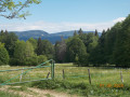 Vue sur les massifs suisses