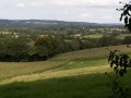 Vue sur les Montagnes Noires
