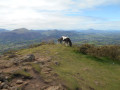 Vue sur les montagnes