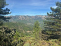 Vue sur les Monts de Lozère